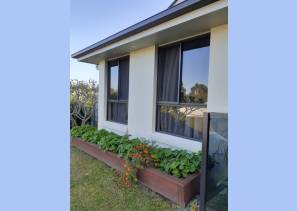 window-297x211 (1)